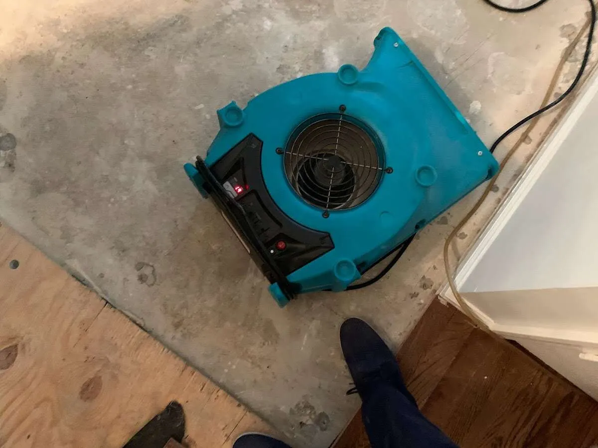 Air mover drying subfloor during Leak Detection & Repair in New Britain